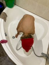 20220919194748-IMG 0155