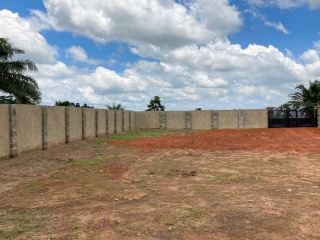 20220924115242-20220924115242-IMG 0246