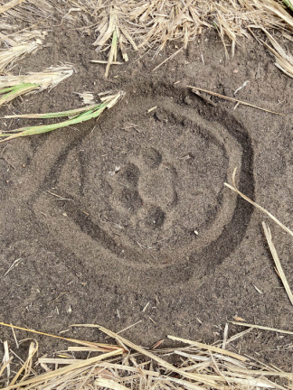 20230225082829-20230225082829-IMG 7670