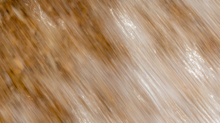 20230213144854-MDA 8756