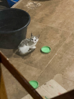 20221117225540-IMG_0820.jpg
