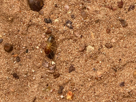 20221217135653-20221217135653-IMG_4232.jpg