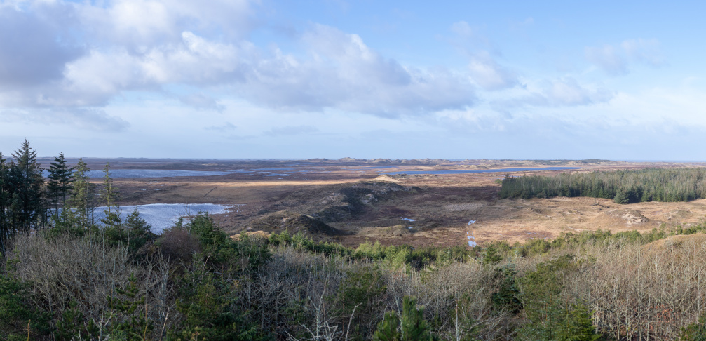 20220215124204-MDA 3664-Pano